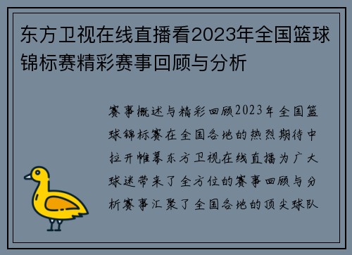 东方卫视在线直播看2023年全国篮球锦标赛精彩赛事回顾与分析