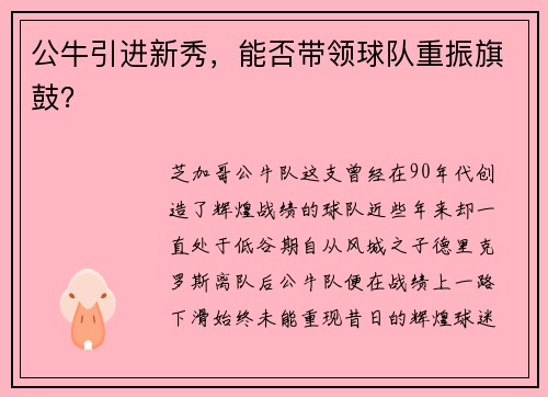 公牛引进新秀，能否带领球队重振旗鼓？